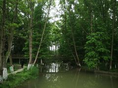 -桤木河湿地公园