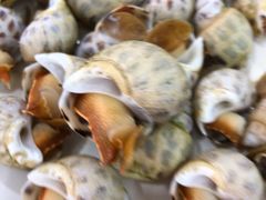 -明记海鲜大排档(巽寮湾店)