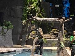 -夜间野生动物园
