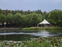 -吉林大学(前卫南区)