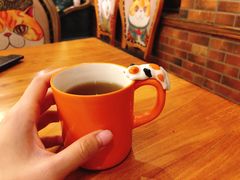 -more than meow吴止猫主题餐厅(承德 中船汇店)