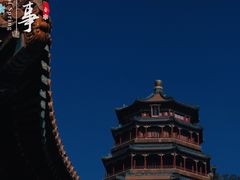 -颐和园