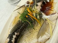 泉水浸鲩鱼-畔山酒店中餐厅