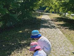 -苏州太湖国家湿地公园