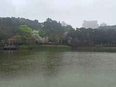 -鹿鸣酒家(越秀店)