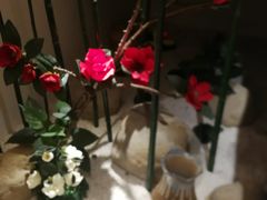 -善水温泉·汗蒸·SPA·生活会馆(桑田路店)