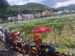 -红山村