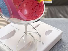 -武汉大学附属爱尔眼科医院(湖北总院)