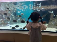 -福州罗源湾海洋世界旅游区