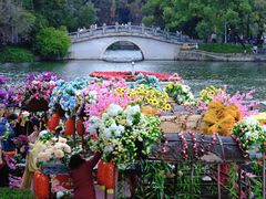 -荔湾湖公园