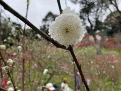 -桃花涧