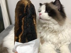 -面包与我Bread Or Me(长城汇店)