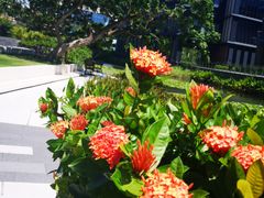 -星巴克(深圳前海企业公馆店)