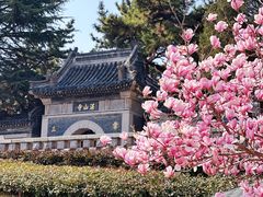 -湛山寺