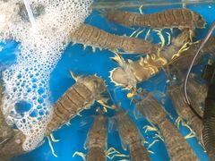 -Thiw Soen Seafood Restaurant