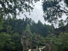 -茅兰沟国家森林公园