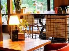 -良木缘咖啡西餐(太古里店)