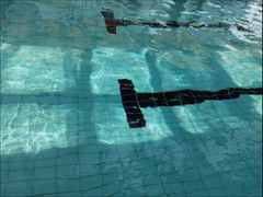 -小海豚国际游泳培训中心(浦东源深体育中心店)