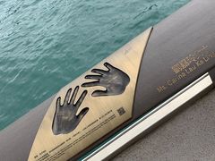 -星光大道