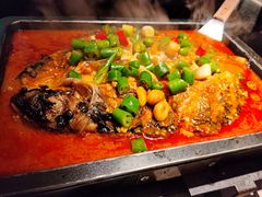 叉尾鮰鱼-炉鱼(无锡八佰伴中心店)