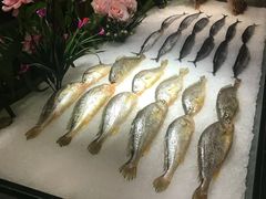 -芭菲盛宴·环球美食(锦城万达广场店)