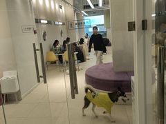 -怪兽屋·羊驼·猫咖·狗咖(俊华广场店)