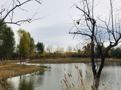 -东郊湿地公园