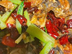 -老板恋上鱼(高新万达店)