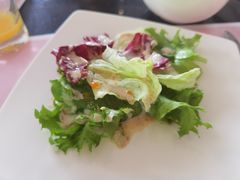 沙拉-厦门悦华酒店·绿庭主题自助餐厅