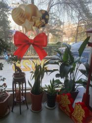 -北京豆豆博士专业祛痘