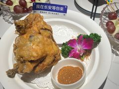 -唐猫庭院·千年陕菜(大唐不夜城店)