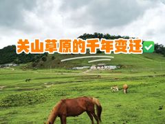 -关山草原