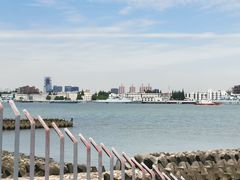-上海滨江森林公园