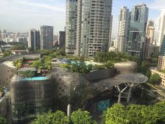 -新加坡万豪董厦酒店