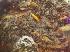 -重庆巴渝火锅(钟家村店)