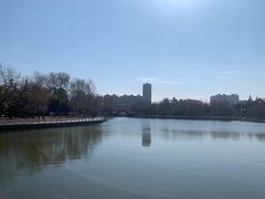 -楚秀园