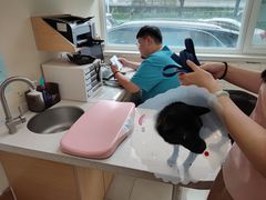 -美联众合动物医院·24h京西诊疗中心
