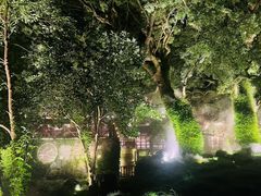 -普陀山雷迪森庄园