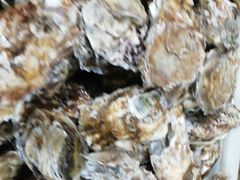 -宾朋海鲜美食特色餐厅·纯手工鲅鱼水饺(兴海路店)