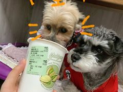 -雅克雅思(南湖东路店)