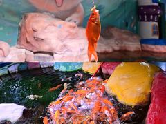 -顺德南宏海立方海洋公园