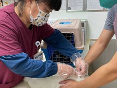 -宠颐生中康贝怡动物医院