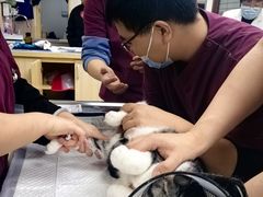 -美联众合动物医院·24h转诊中心