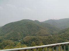 -宁波浙东大竹海景区
