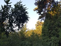 -香山公园