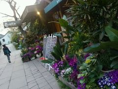 picture-春暖花开(西溪店)