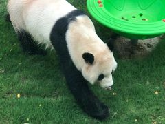 -无锡动物园·太湖欢乐园