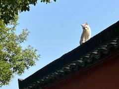 -南北湖风景区