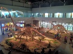 -自贡恐龙博物馆