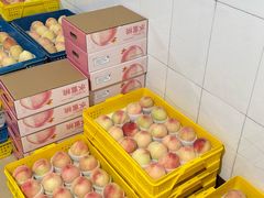 -老袁家蜜桃农场·阳山水蜜桃